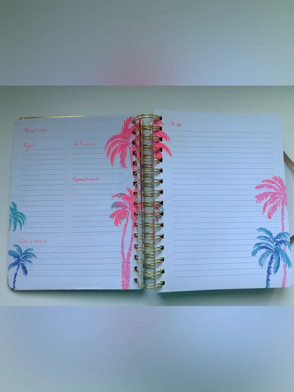 Lilly Pulitzer Pink & Blue Palm Gold-Striped To-Do Notebook New W/O Tags 316 Pgs